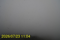 Img20260723_110446.jpg