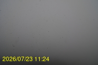 Img20260723_112446.jpg