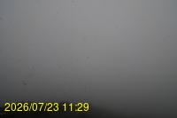 Img20260723_112946.jpg