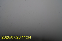 Img20260723_113446.jpg