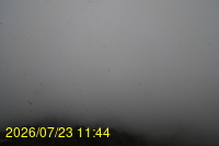 Img20260723_114446.jpg