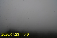Img20260723_114947.jpg