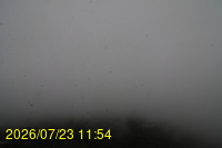 Img20260723_115446.jpg