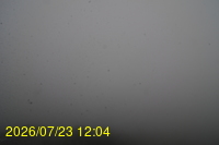 Img20260723_120446.jpg