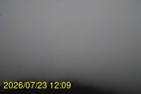 Img20260723_120946.jpg
