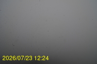 Img20260723_122446.jpg