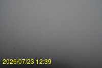 Img20260723_123947.jpg