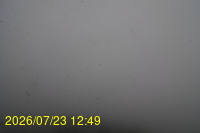 Img20260723_124947.jpg