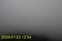 Img20260723_125447.jpg