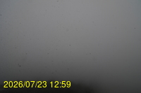 Img20260723_125947.jpg