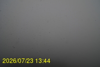 Img20260723_134447.jpg
