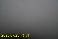 Img20260723_135947.jpg