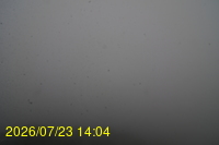 Img20260723_140447.jpg