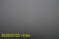 Img20260723_144447.jpg
