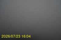 Img20260723_160447.jpg