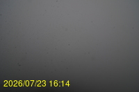 Img20260723_161447.jpg