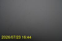 Img20260723_164447.jpg