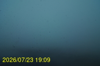 Img20260723_190948.jpg
