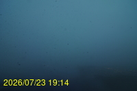 Img20260723_191448.jpg