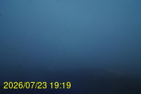 Img20260723_191948.jpg