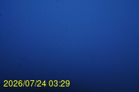 Img20260724_032949.jpg
