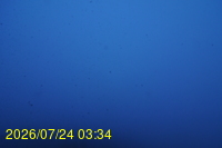 Img20260724_033449.jpg