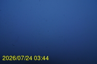Img20260724_034449.jpg