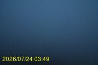 Img20260724_034949.jpg