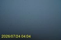 Img20260724_040450.jpg