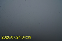 Img20260724_043950.jpg