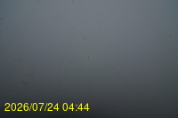 Img20260724_044450.jpg