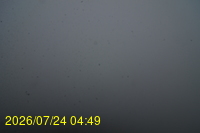 Img20260724_044950.jpg