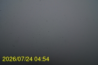 Img20260724_045450.jpg