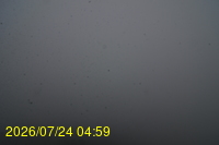 Img20260724_045950.jpg