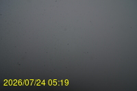 Img20260724_051950.jpg