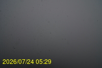 Img20260724_052950.jpg