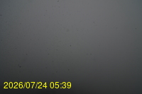 Img20260724_053950.jpg