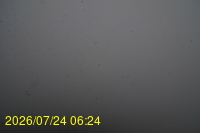 Img20260724_062450.jpg