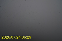 Img20260724_062950.jpg