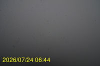 Img20260724_064450.jpg