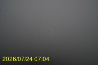 Img20260724_070450.jpg