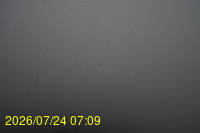 Img20260724_070950.jpg