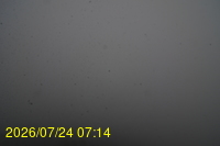 Img20260724_071450.jpg