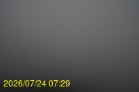 Img20260724_072950.jpg