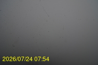 Img20260724_075450.jpg
