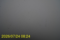 Img20260724_082450.jpg