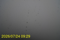 Img20260724_092951.jpg
