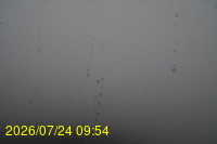 Img20260724_095451.jpg