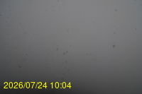 Img20260724_100451.jpg