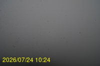 Img20260724_102451.jpg